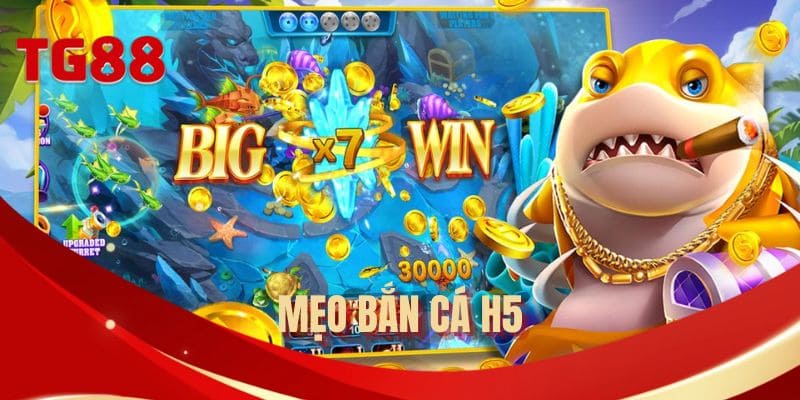 meo-ban-ca-h5